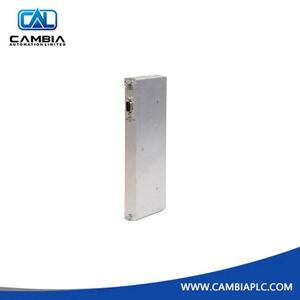 330106-05-30-05-02-00	BENTLY NEVADA	Email:info@cambia.cn