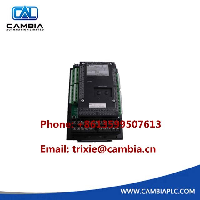 GE Fanuc IC698RMX016CA