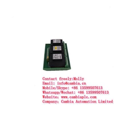 Output Module Analog 8 point P/N : IC694ALG392	Email:info@cambia.cn