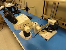 Leica and B&L Assorted Microscopes
