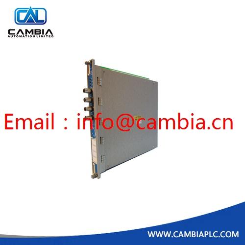 GE Bently Nevada	330103-00-18-05-02-05	Email:info@cambia.cn