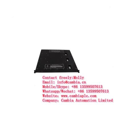 INVENSYS SYSTEMS INC. (TRICONEX) 3625 MODULE DIGITAL OUTPUT	Email:info@cambia.cn