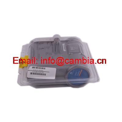 YAMATAKE HONEYWELL	10105/2/1	Email: info@cambia.cn