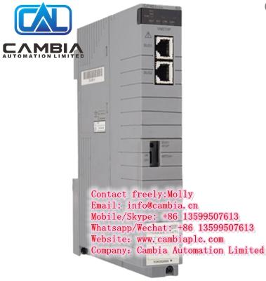 Emerson  Ovation	1P00028G01	Email:info@cambia.cn