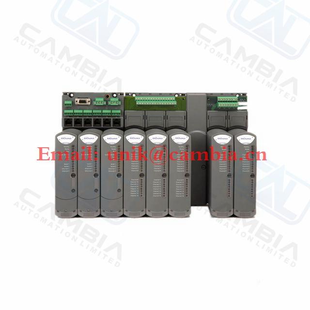 Rockwell ICS Triplex	T8833 20 channel Isolated AI/DI FTA