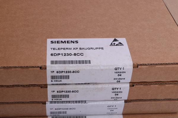 NEW Siemens 6DD16600BG0 PLC Simatic Module