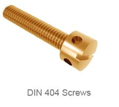 DIN 404 Screws