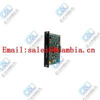 Reliance Electric 45C273 AutoMate 48k Memory Expansion Module