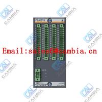 Bachmann SEM201 PLC Module B11756/00 SEM 201 4K DP Ram