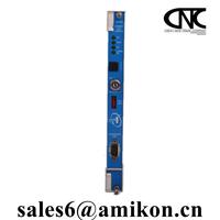 BENTLY 〓 330104-00-18-10-02-00丨sales6@amikon.cn