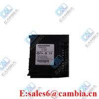 GE FANUC IC697ALG320E OUTPUT ANALOG MODULE