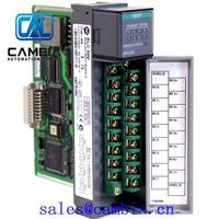 Allen Bradley	1746-IM16	SLC500	Email:sales@cambia.cn