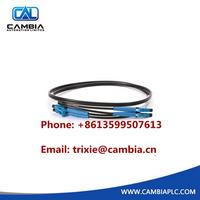 Allen Bradley ControlLogix 1 m RM Fiber Optic Cable 1756-RMC1