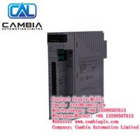 Emerson  Ovation	1C31206G01	Email:info@cambia.cn