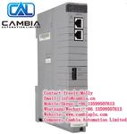 Emerson  Ovation	1C31224G01	Email:info@cambia.cn