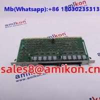 RELIANCE ELECTRIC 8100-0145  sales8@amikon.cn