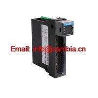 YAMATAKE HONEYWELL	10024/1/1	Email: info@cambia.cn