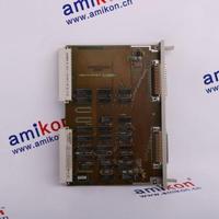 6DS1300-8AB	Siemens Module