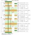 PCB Design Support